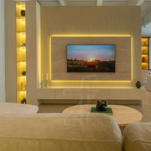Wall-Mounted TV Unit